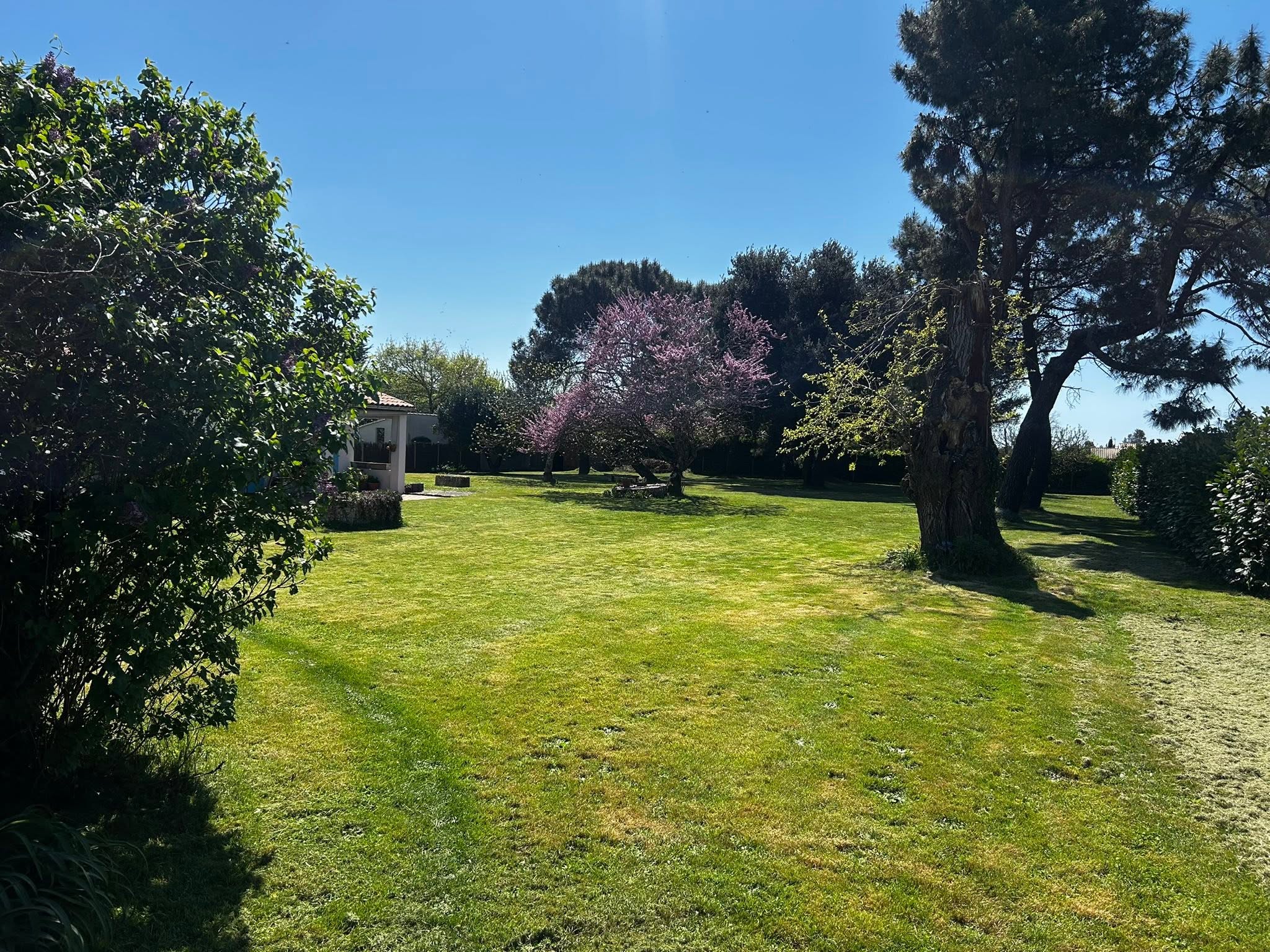 Entretien espaces verts Lunel Hérault – RM.Multiservices